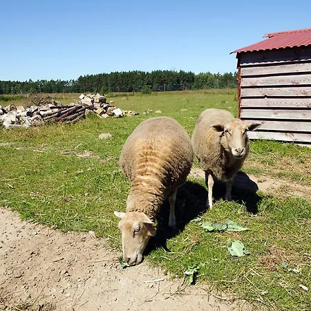 Rum i privatbostad Goscinne Mnich Przewloka (Pomerania)