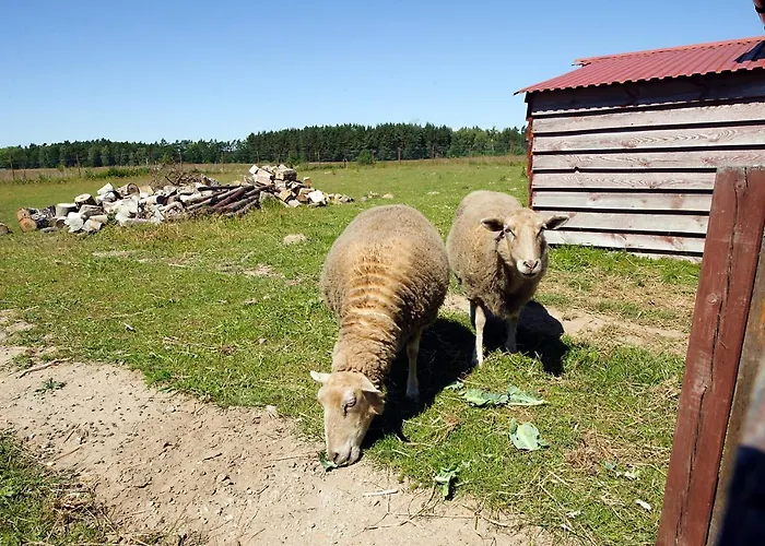 Ubytování v soukromí Goscinne Mnich Przewloka (Pomerania)
